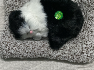 sleeping cat plush toy