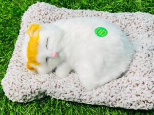 Sleeping Cat