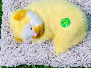 plush cat toy with real meow sound