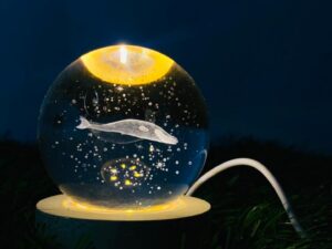 3d fish crystal ball led night lamp