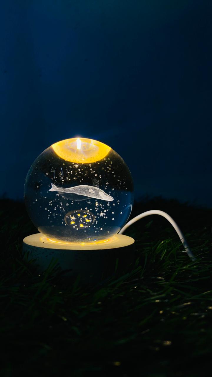 3d fish crystal ball led night lamp 3d fish crystal ball led night lamp